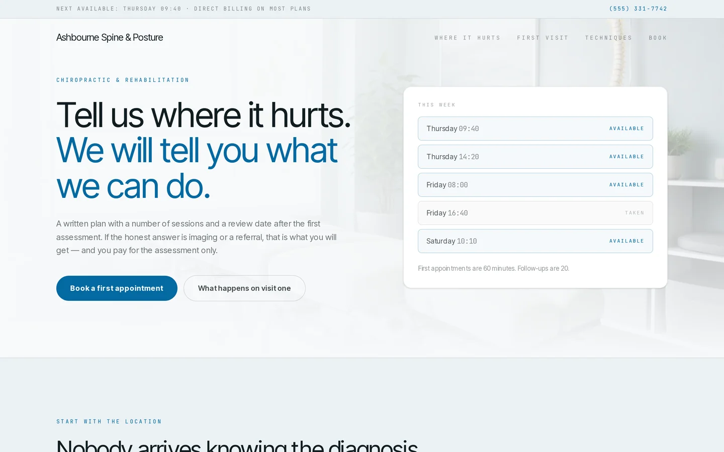 Screenshot of the free chiropractor website template