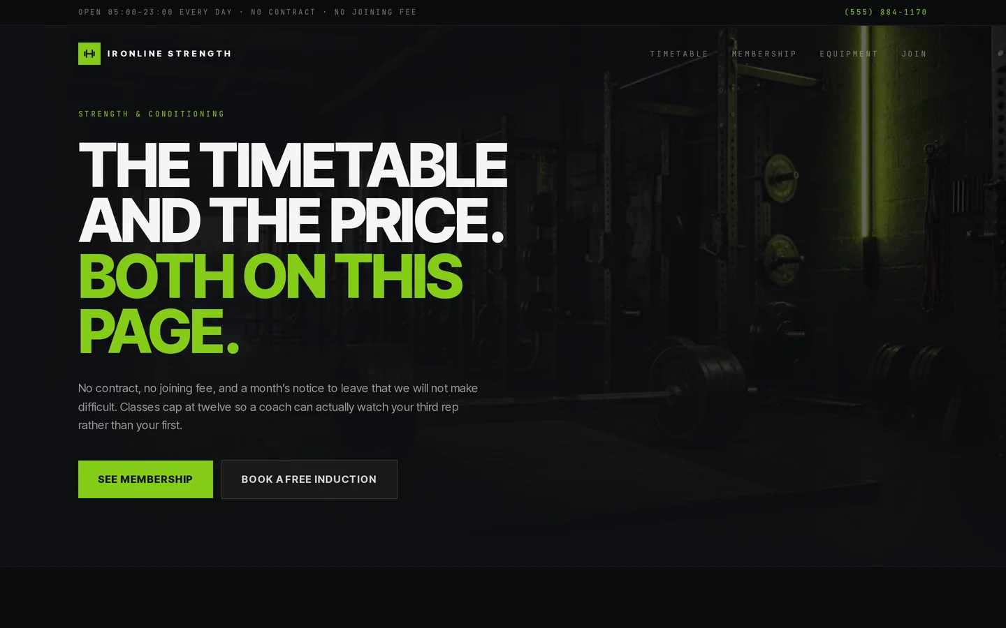Screenshot of the free gym website template